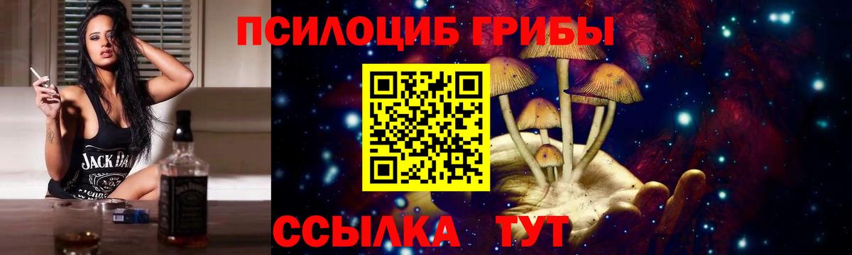 Славянск-на-Кубани  Псилоцибиновые грибы мицелий  Вход с VPN  Псилоцибиновые грибы Psilocybine cubensis 